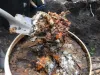 bokashi FFW 2023